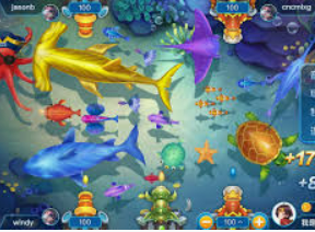 大小单双导师带赚包赔最新版